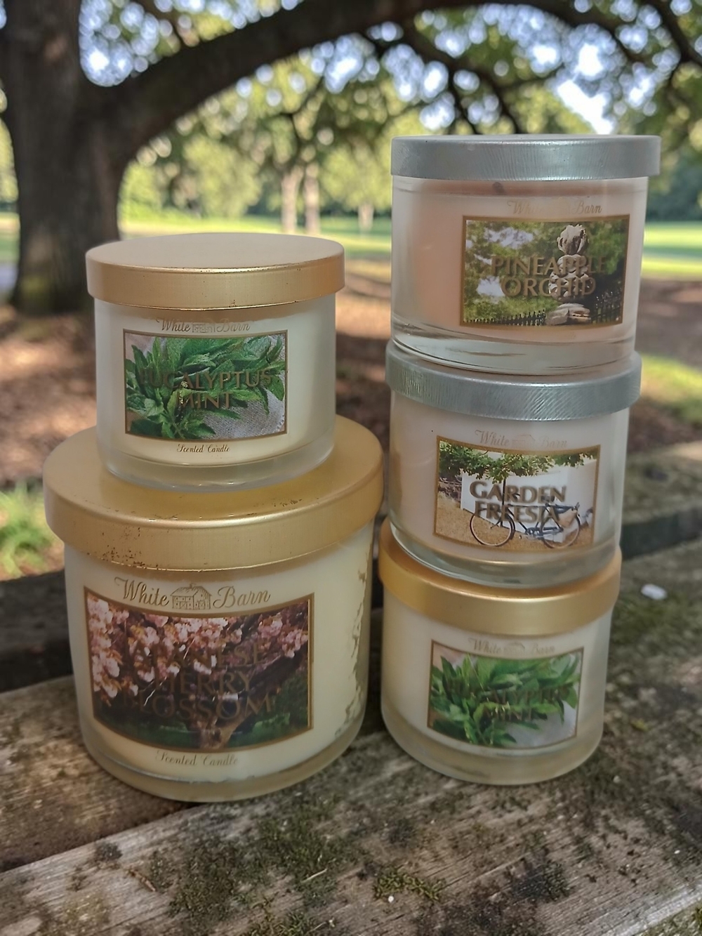White Barn Candle Collection - Gold & Silver Lids